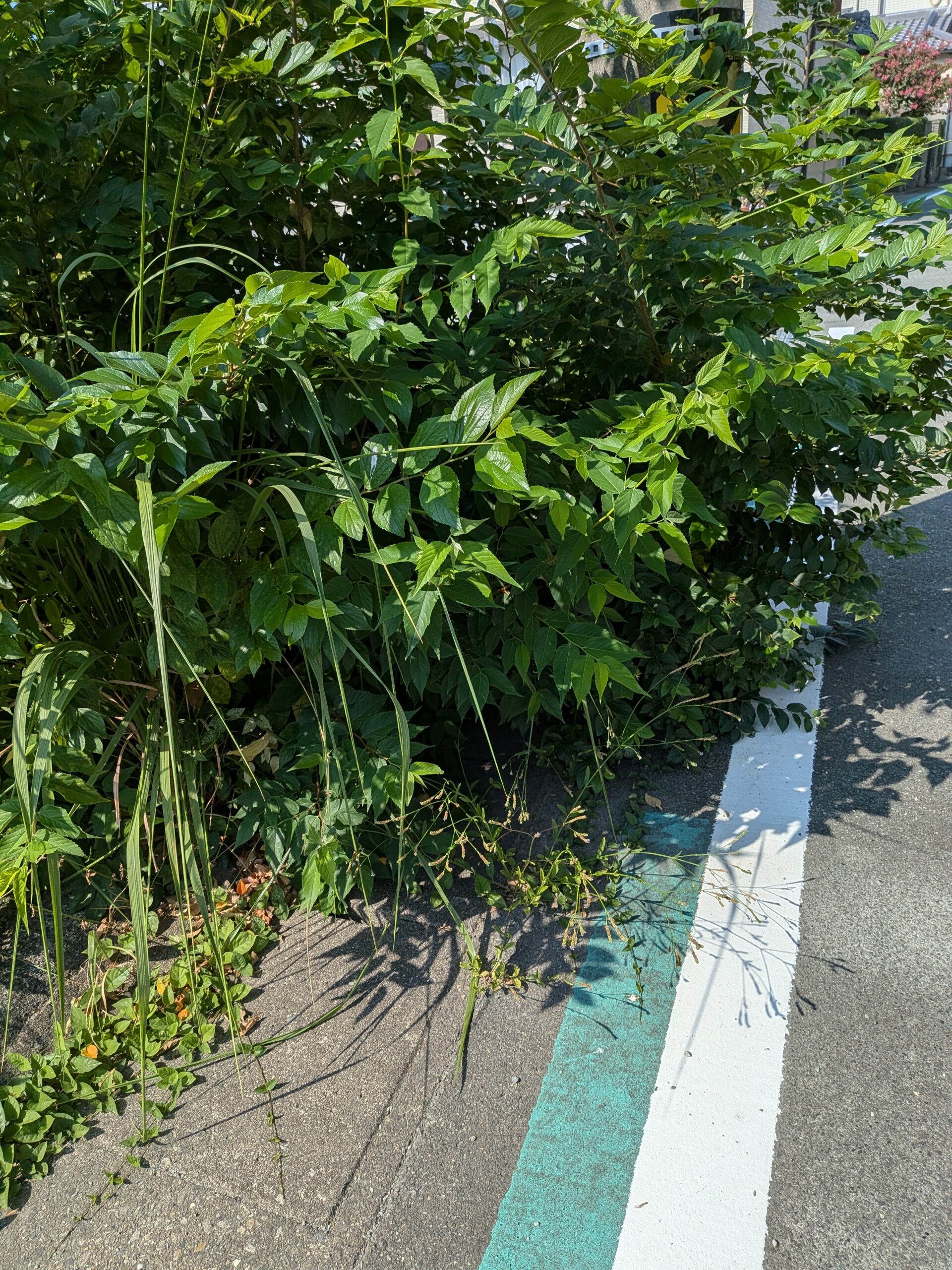 人にやさしいって・・・