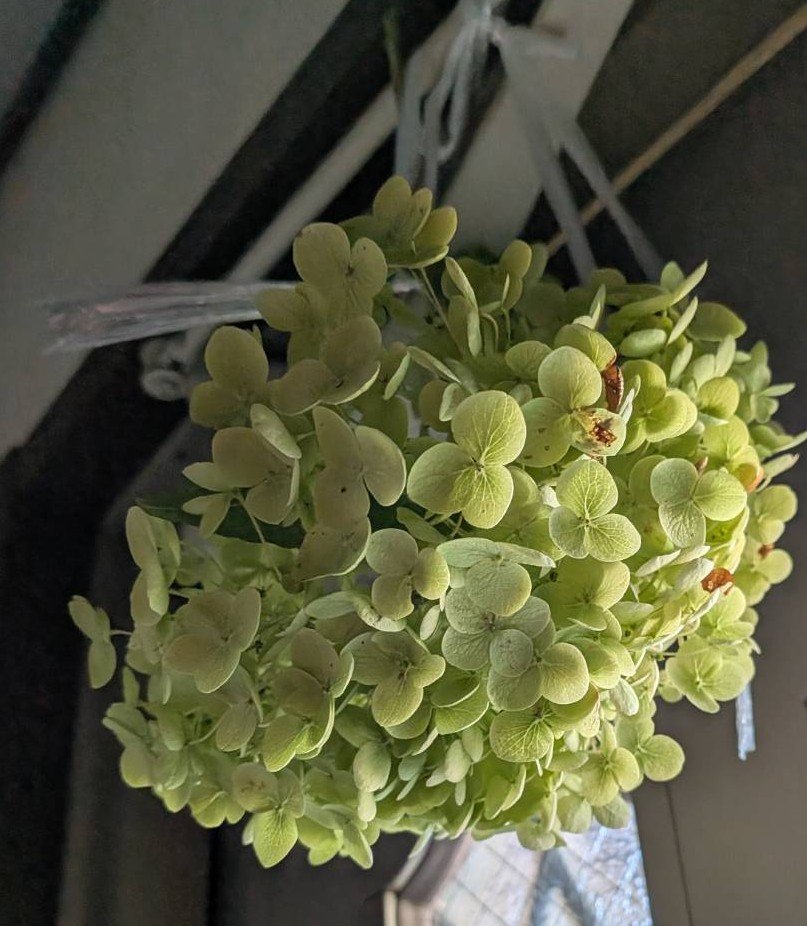土用の丑には・・・・・